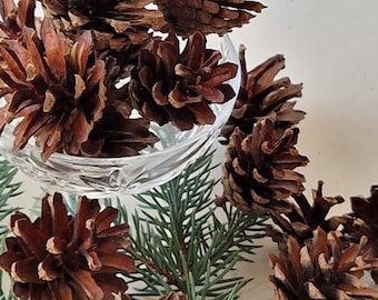 Set of 30 pine Cones natural Cones real pine cones for DIY Crafts Christmas tree Decoration wreath making Christmas swag rustic home decor