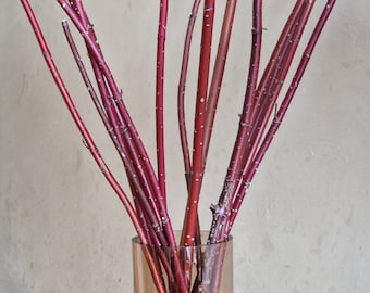 Könnte beinhalten: Eine Vase gefüllt mit einem Strauß roter Zweiglein. Die Zweige sind locker und natürlich angeordnet, und die Vase ist aus klarem Glas.