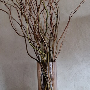 Natuurlijke wilg Krullende takken wilg gekrulde twijgen Scandinavisch interieur Houten stokken Gedroogde twijgen voor bruiloft Kerstdecor Gedraaide wilg