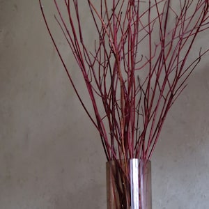 Echte rode kornoelje takken rode wilgen twijgen takken middelpunt home decor rode takken twijgen hout bruiloft 23&quot; kornoelje decor ambachten leveringen