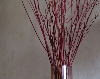 Könnte beinhalten: Eine klare Glasvase, gefüllt mit leuchtend roten Zweigen. Die Zweige sind schlank und haben ein natürliches, organisches Aussehen. Die zylindrische Vase steht vor einer neutralen Wand und erzeugt einen auffälligen Kontrast.