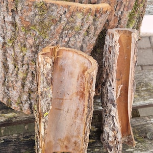 Zestaw 2 naturalnych, prawdziwych drewnianych kory, leśne dekoracje, arkusze kory drzewnej do terrarium, leśny zbiornik na gady, domek dla wróżek, ogród, wystrój terrarium