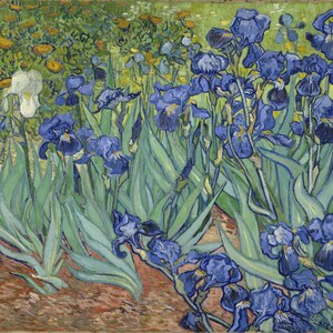 Capri Leggings Fine Art Van Gogh Irises image 7