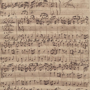 Leggings Fine Art Music of Bach image 8