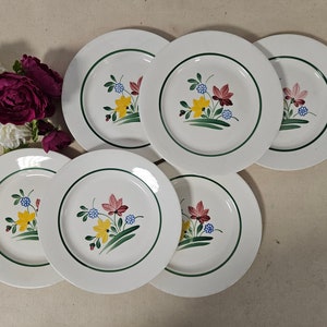 Antique dinner plates X6 model &quot;Douglas&quot; from the French manufacturer of Digoin and Sarreguemines