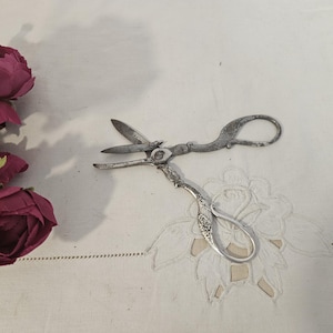 May include: Vintage silver scissors with decorative handles and curved blades. The scissors are on a white surface with a floral pattern. A bunch of deep pink roses is in the top left corner.