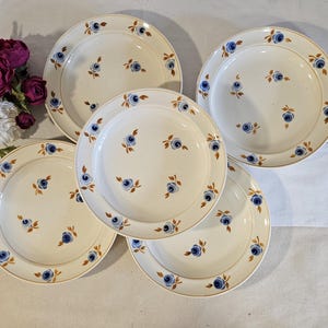 Old X5 deep plates, &quot;Pompadour&quot; model, from the French manufacturer Moulin des Loups