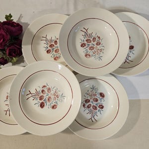 Old X6 deep plates, &quot;Francine&quot; model, from the French manufacturer Badonviller