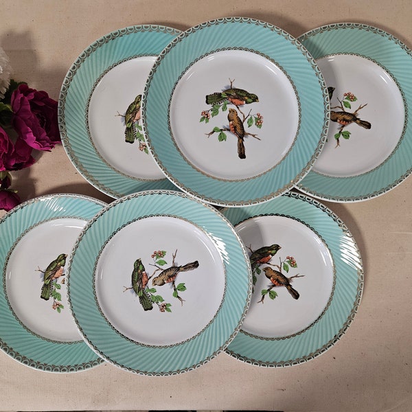 Assiettes plates anciennes X6 modèle "Oiseaux" de la manufacture française de Badonviller