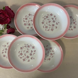 Soup plates old X6 caps from the French manufacturer Moulin des Loups