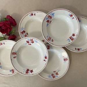 Old hollow plates X6 from the French manufacture of Badonviller