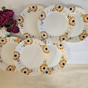 Antique dinner plates X6 model "Tango" from the French manufacturer Clairfontaine