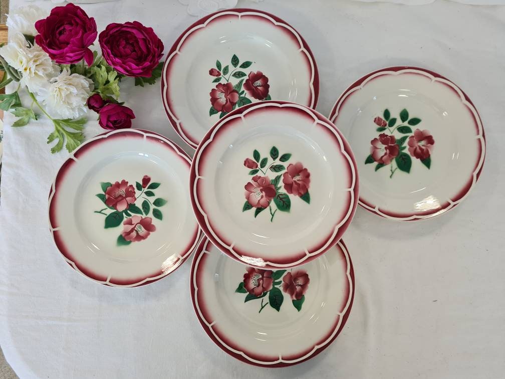 Assiettes Plates Anciennes X5 Modèle Eden de La Manufacture Française Digoin
