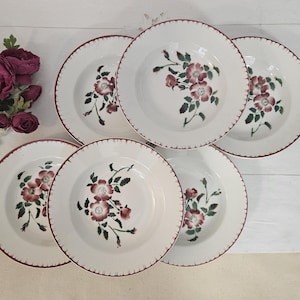 Antique soup plates X6 model &quot;Epernay&quot; from the French manufacturer Digoin