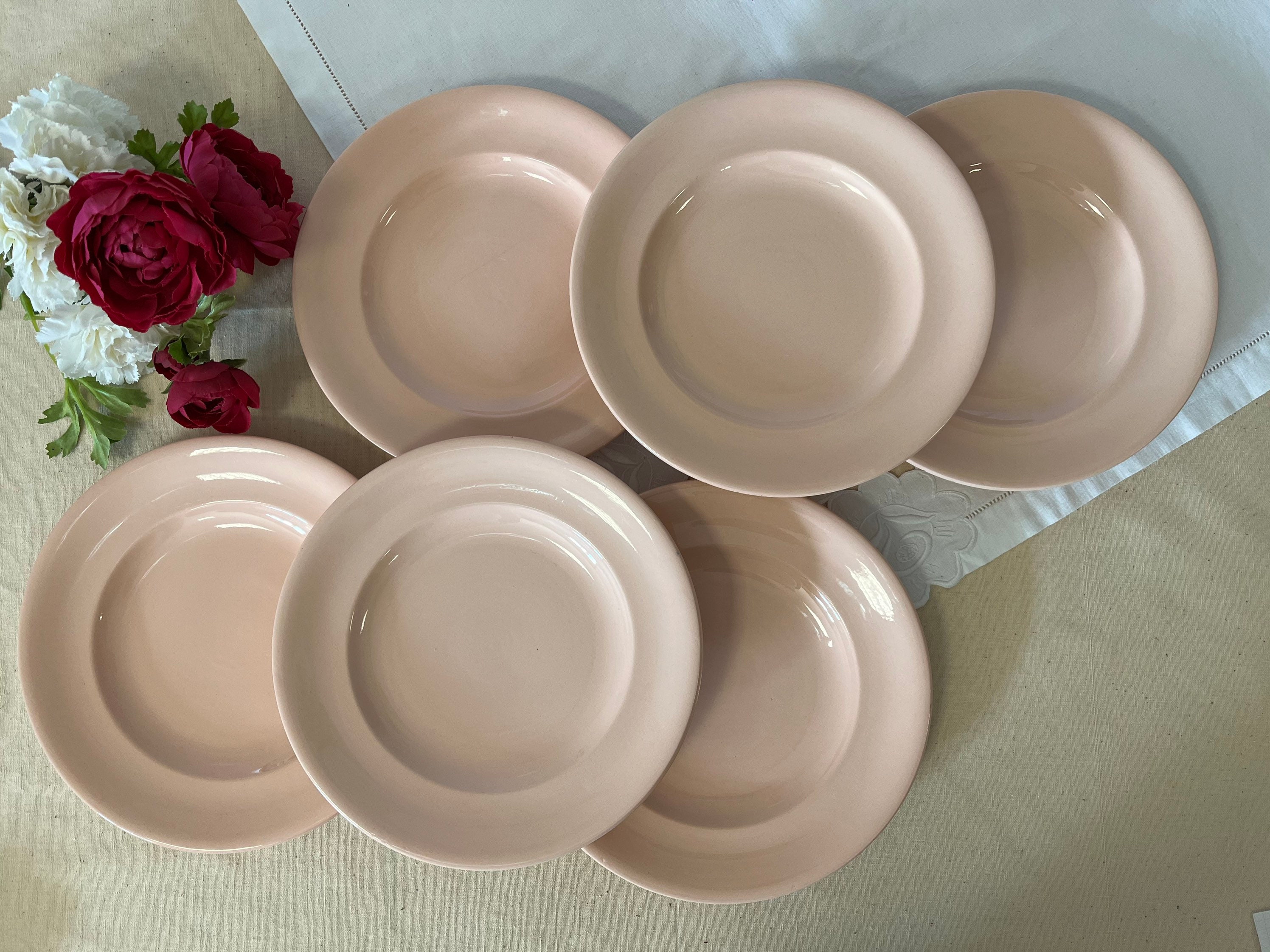 Assiettes Plates Anciennes X6 Modèle Beige Rosé de La Manufacture Française Longwy