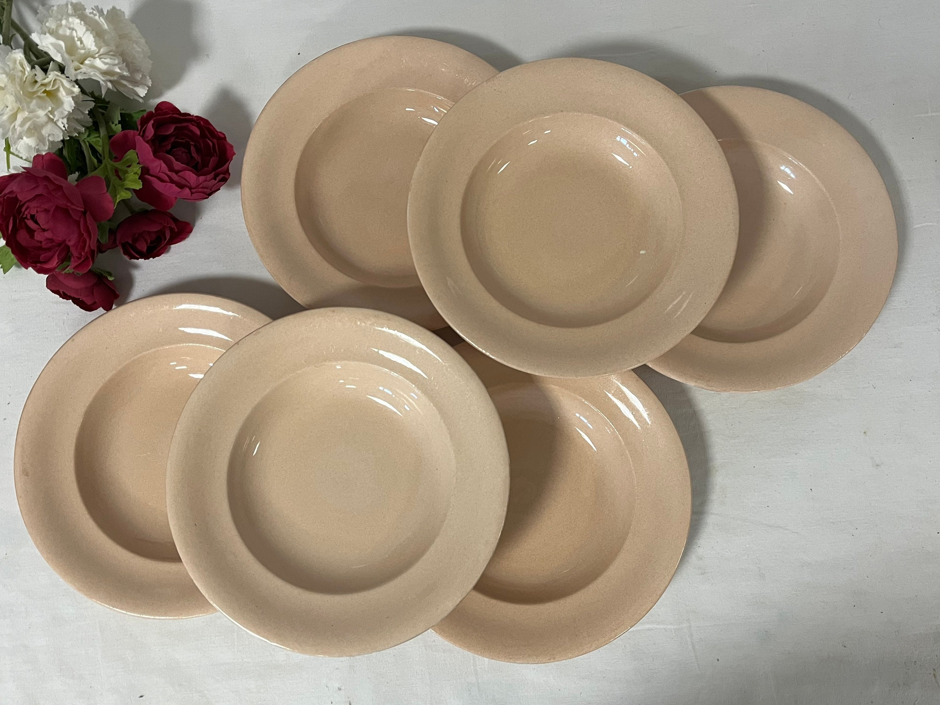 Assiettes Creuses Anciennes X6 Modèle Beige Rosé de La Manufacture Française Longwy