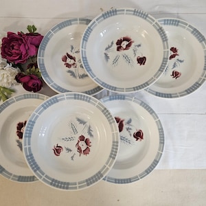 Antique soup plates X6 model &quot;Carole&quot; from the French manufacturer of Digoin