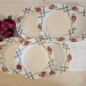 Old X6 deep plates, &quot;Nicole&quot; model, from the French manufacturer Digoin
