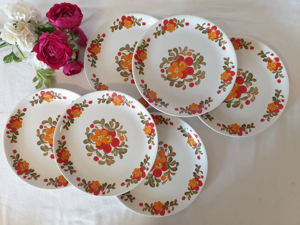 Assiettes Plates Anciennes X6 Modèle Manitoba de La Manufacture Française Moulin Des Loups