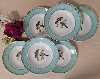 Old soup plates X6 pastel "birds" model from the French factory of Badonviller