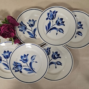 Antique dinner plates X6 model &quot;Bretigny&quot; from the French manufacturer of Badonviller