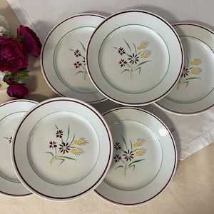 Antique flat plates X6 &quot;Champêtre&quot; model from the French manufacturer of Luneville