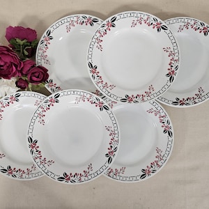 Antique flat plates X6 model &quot;Arlequin&quot; from the French manufacturer of Saint Amand