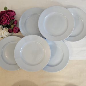 Antique dinner plates X6 from the French manufacturer Fenal Frères