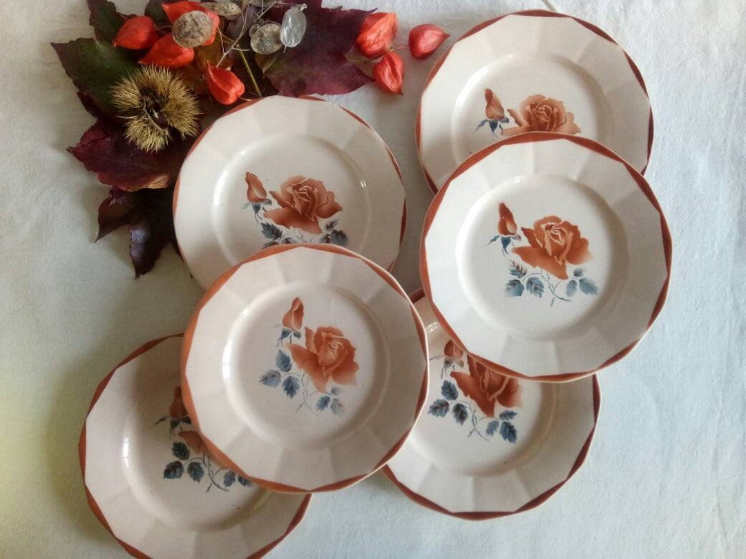 Old Dinner Plates X6 Digoin Color Beige Rosé and Boho Autumnal Etsy