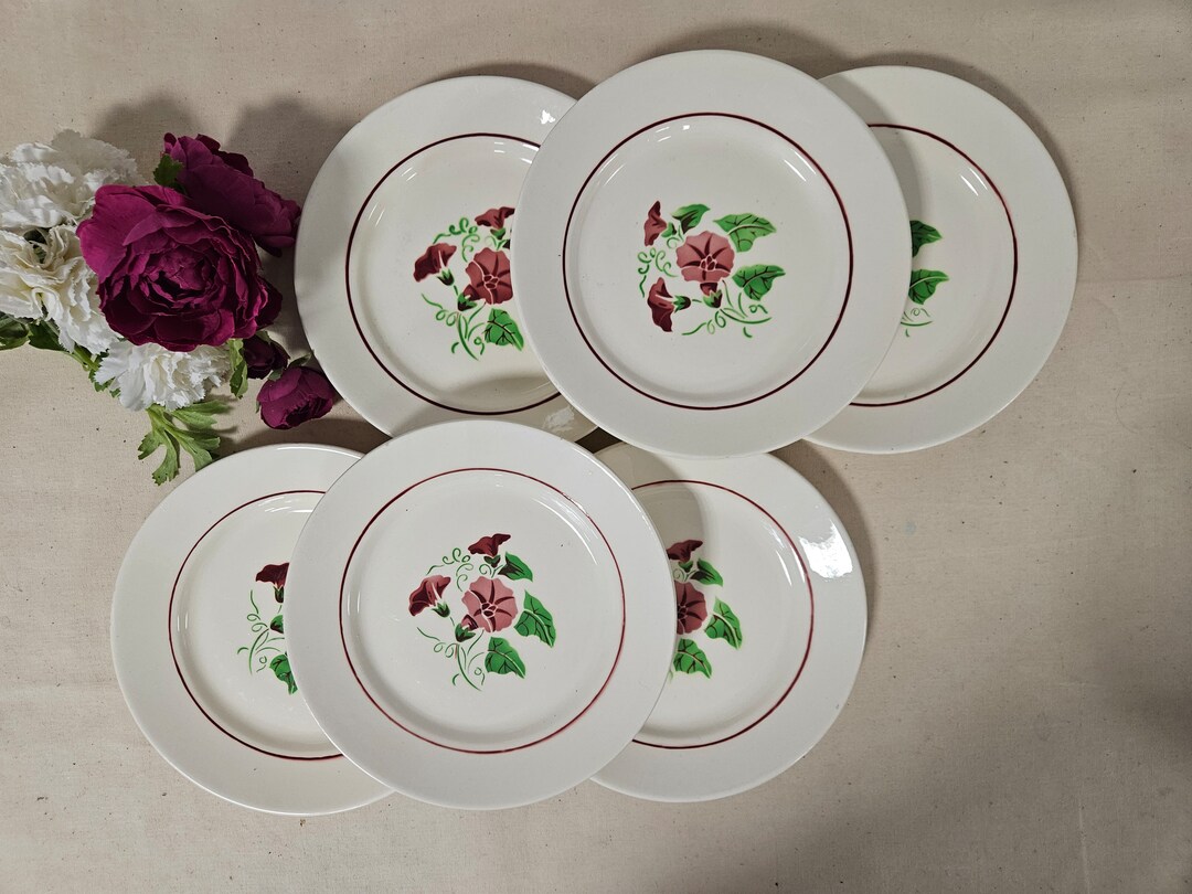 Old Dinner Plates X6 From the French Factory of Badonviller Etsy