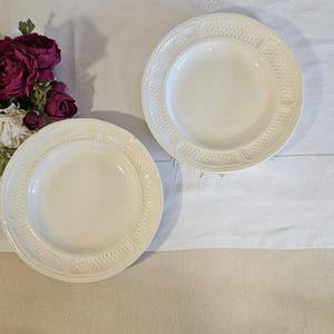 Antique flat plates X2 model “Pont-aux-choux” from the French manufacturer of Gien