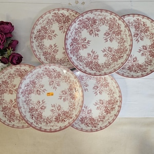 Antique flat plates X6 from the French manufacturer of Sarreguemines