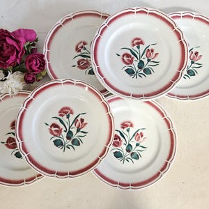 Może przedstawiać: Zestaw sześciu białych ceramicznych talerzy obiadowych z czerwonym rantem i wzorem kwiatowym. Każdy talerz przedstawia grupę różowych goździków z zielonymi liśćmi.