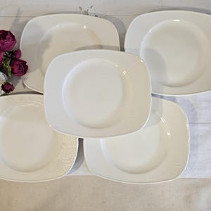 Old flat plates X5 model &quot;Amboise&quot; from the French factory of Salins