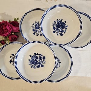 Antiguos platos huecos X6 modelo &quot;Evian&quot; de la fabricación francesa de Lunéville
