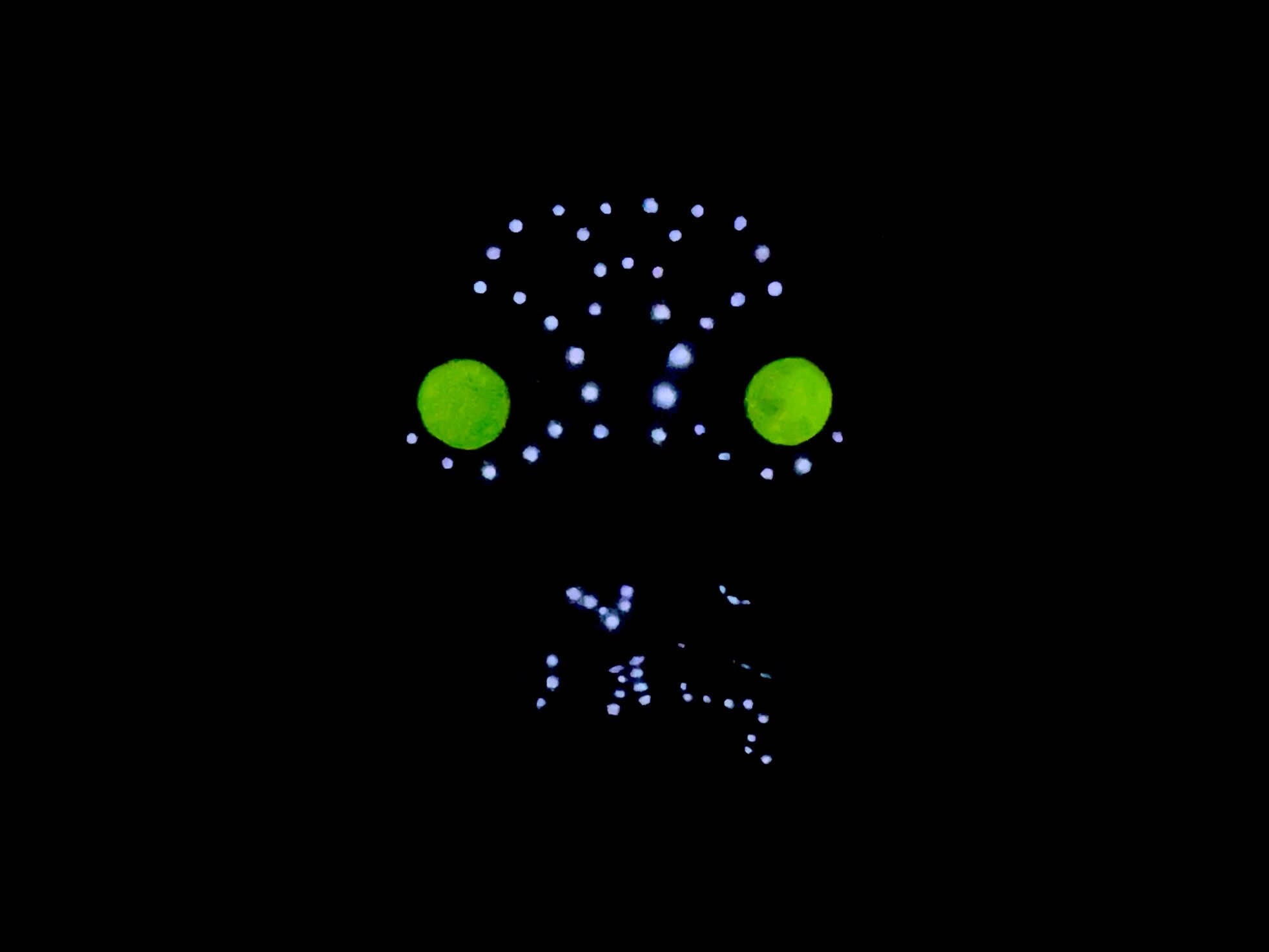 Avatar Navi Doll - Etsy