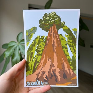 Sequoia National Park 5x7in print (unframed)