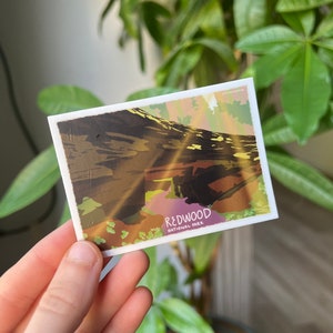 Redwood Nationalpark Sticker