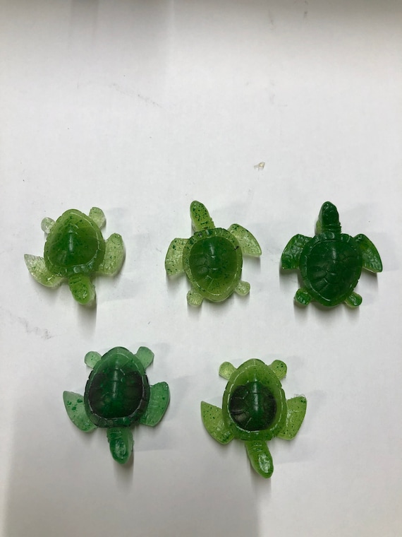 Turtle, skull and bottle cap refrigerator magnets