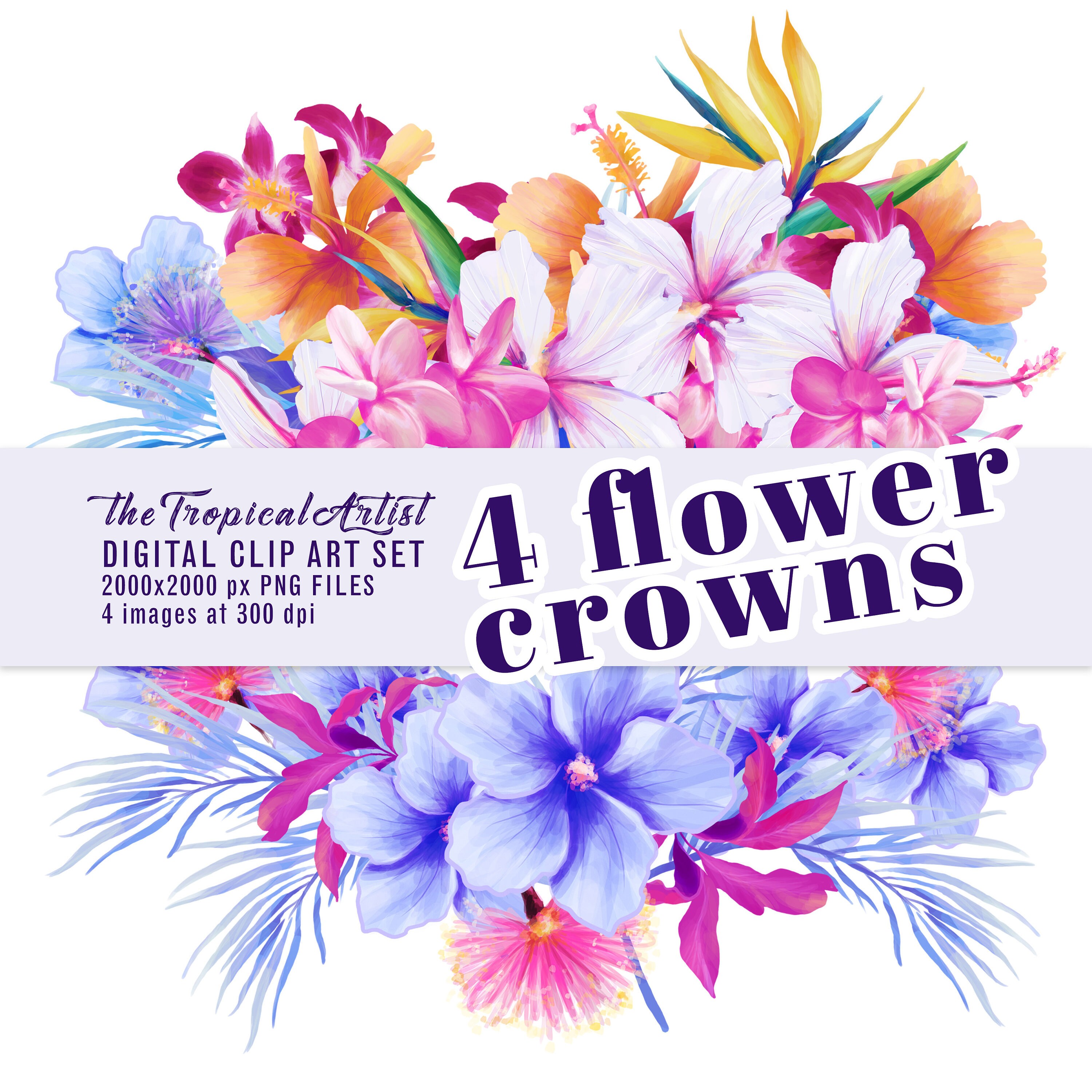 Flower Crowns Clip Art Mini Pack Flowers Clipart Tropical Etsy Flower Crowns Clip Art Mini Pack Flowers Clipart Tropical Etsy