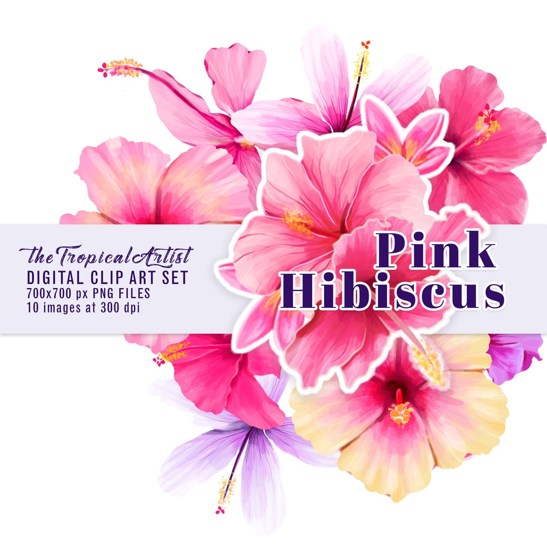Pink Hibiscus Clip Art Flowers Clipart Tropical Floral - Etsy