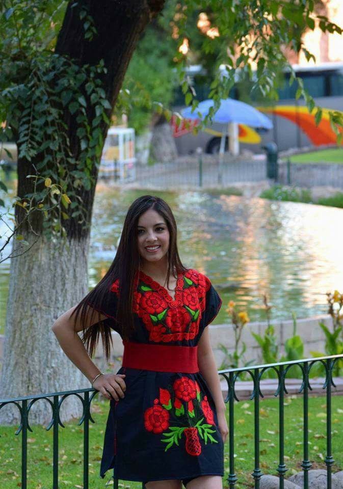 mexican embroidered mini dress Mini Dress- Red X-large