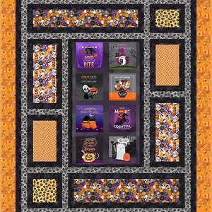 Quilt PATTERN - Picture That - Boo - A Pieced Panel Quilt by Kari Nichols for Quilting Renditions - 72.5&quot; x 88.5&quot;