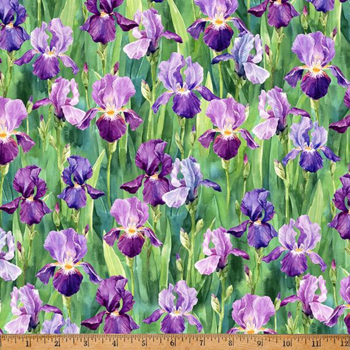 Viola (W5479-228) From the Flower Shoppe Collection - A Hoffman ...