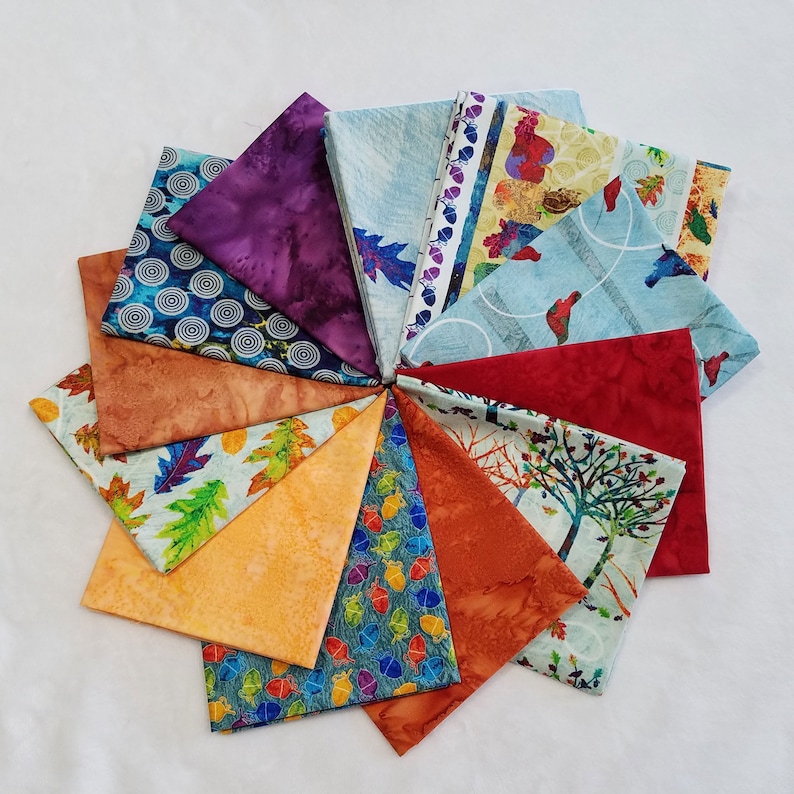 Includes 10 FQs Alexa Kate Design for Studio e 1 Panel and 1 yd of Border Print 11 wide Autumn Hues Fabric Bundle