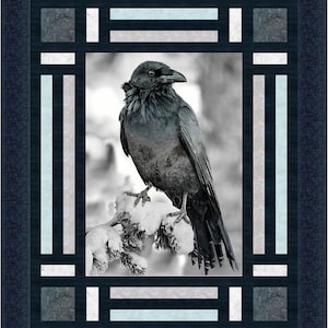 May include: A black raven perched on a snow-covered branch, framed by a decorative window with blue and white stripes.