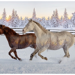 Mustang Sunset Panel - Call of the Wild by Hoffman - Sold in 32&quot; x 43&quot; Sections