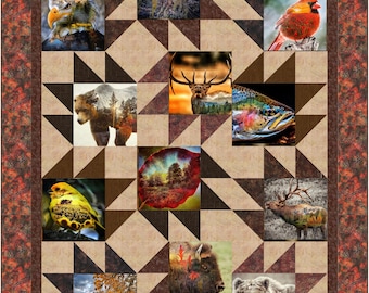 Quilt PATTERN - Which Way - Hoffman Nature Woven - by Kari Nichols for Quilting Renditions - Lap, Twin/Dbl & Queen
