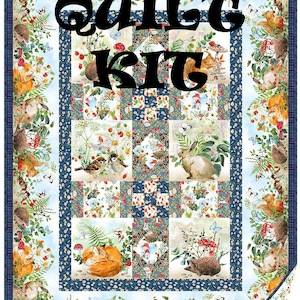Quilt Kit - Hedgehog Hollow Quilt Kit by Jason Yenter for In The Beginning -  Fabric for top and binding with pattern - 48 1/2" x 64 1/2"