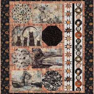 May include: A Halloween-themed quilt featuring various panels with spooky illustrations. The quilt showcases images of black cats, a scarecrow with a pumpkin head, a crow's eye, spiders, skulls, and a witch's hat. The border is decorated with jack-o'-lanterns.